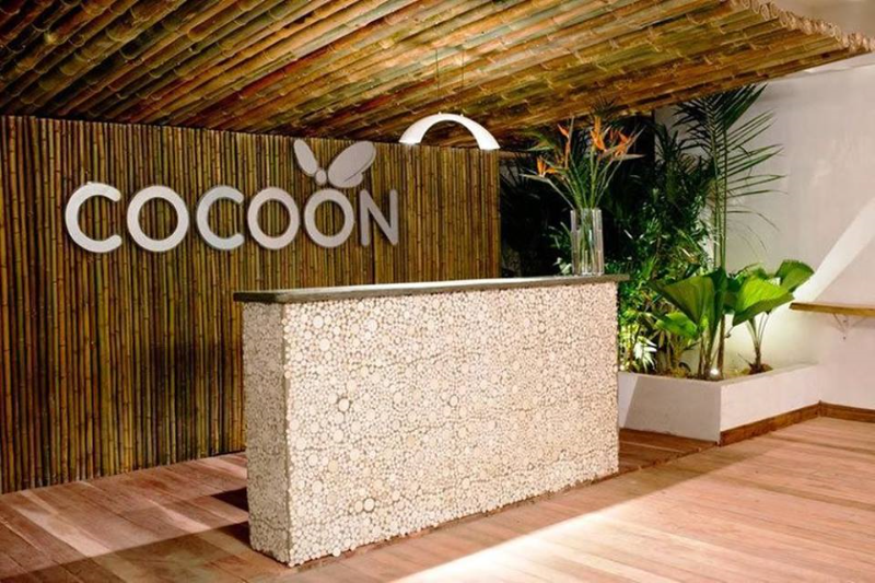 13Cocoon02