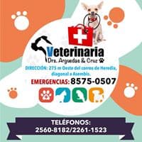 clinica-y-veterinaria-1