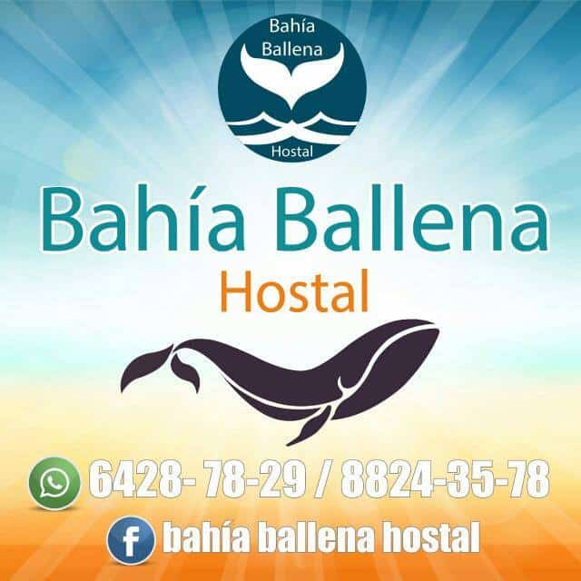 bahia-ballena-hostal-1