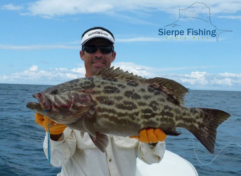sierpe-fishing1