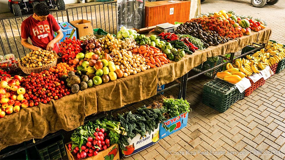 Dominical Organic Farmers Market