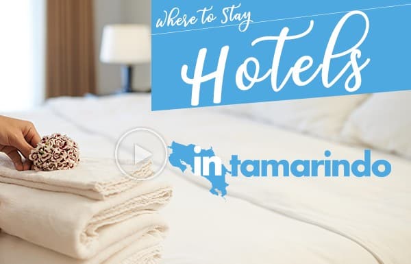 Tamarindo-Where-to-Stay